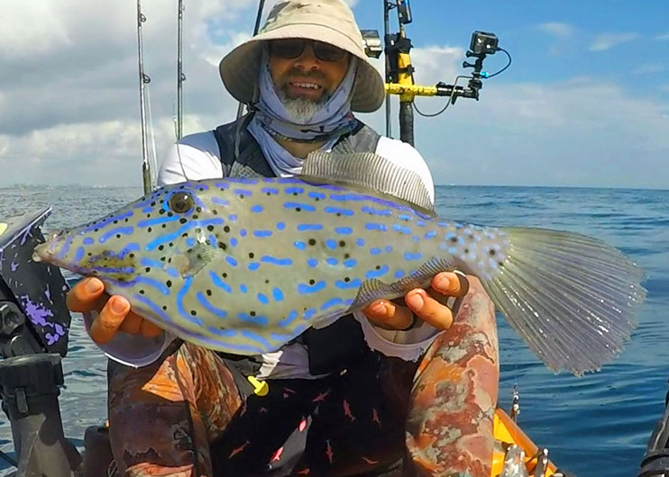 A File Fish has sharp teeth that can bite through an aluminum can.