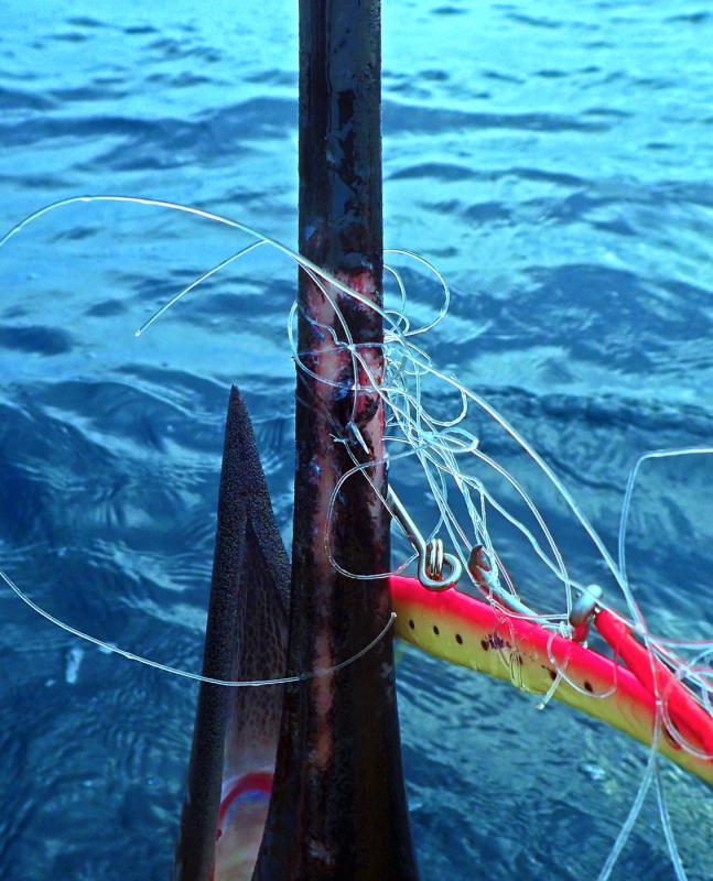 I had just sharpened the hooks hoping for a Wahoo, instead, the hook was so sharp it sank right through the hard bony middle of a Sailfish's Bill.  Taken while speed jigging.