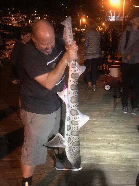 9/29/17 Opening night Lobster Season on the San Clem Pier.  Released