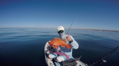 red fin
