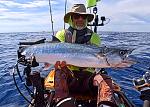Expensive Taxes, Combined with the fish in the bag, this King Mackerel would have put me on the tournament stage had it not been taxed.