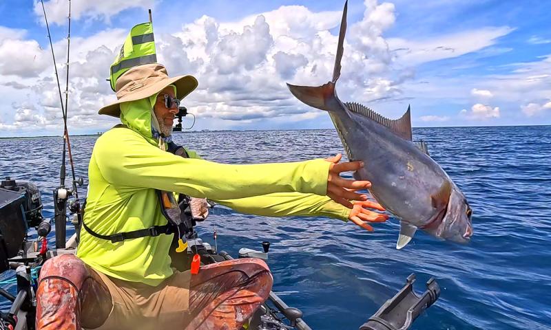Releasing an Amberjack.