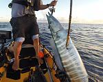 Sunrise Wahoo off Boynton Beach