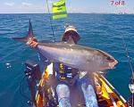 #7 of * Catch, Photo and Release Amberjack