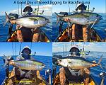 A good day of speed jigging for jumbo Blackfin Tuna.