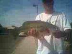 PB Largemouth caught in Yuma, AZ. 8.25 pounds