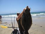 41LB Halibut 007