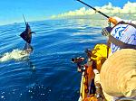 Sailfish Jumping