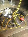 9/29/17 Opening night Lobster Season on the San Clem Pier.  Released