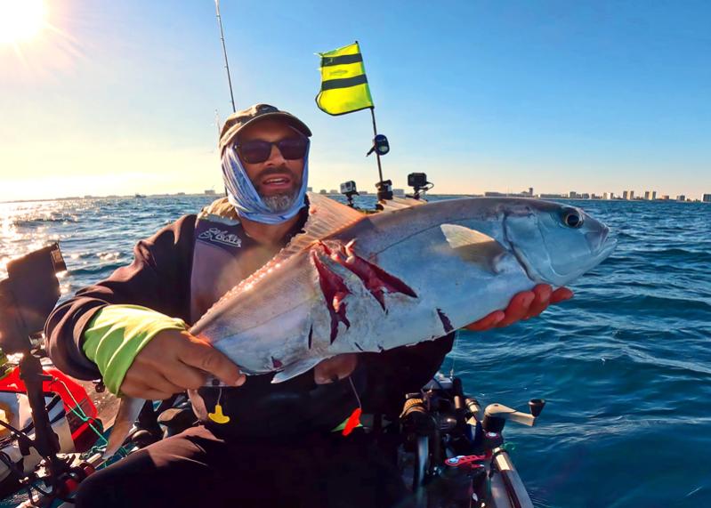 Amberjack with taxes paid to a Barracuda