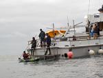 2.5 day trip to San Clemente Island on the Islander, June 2016. WOW what a blast!